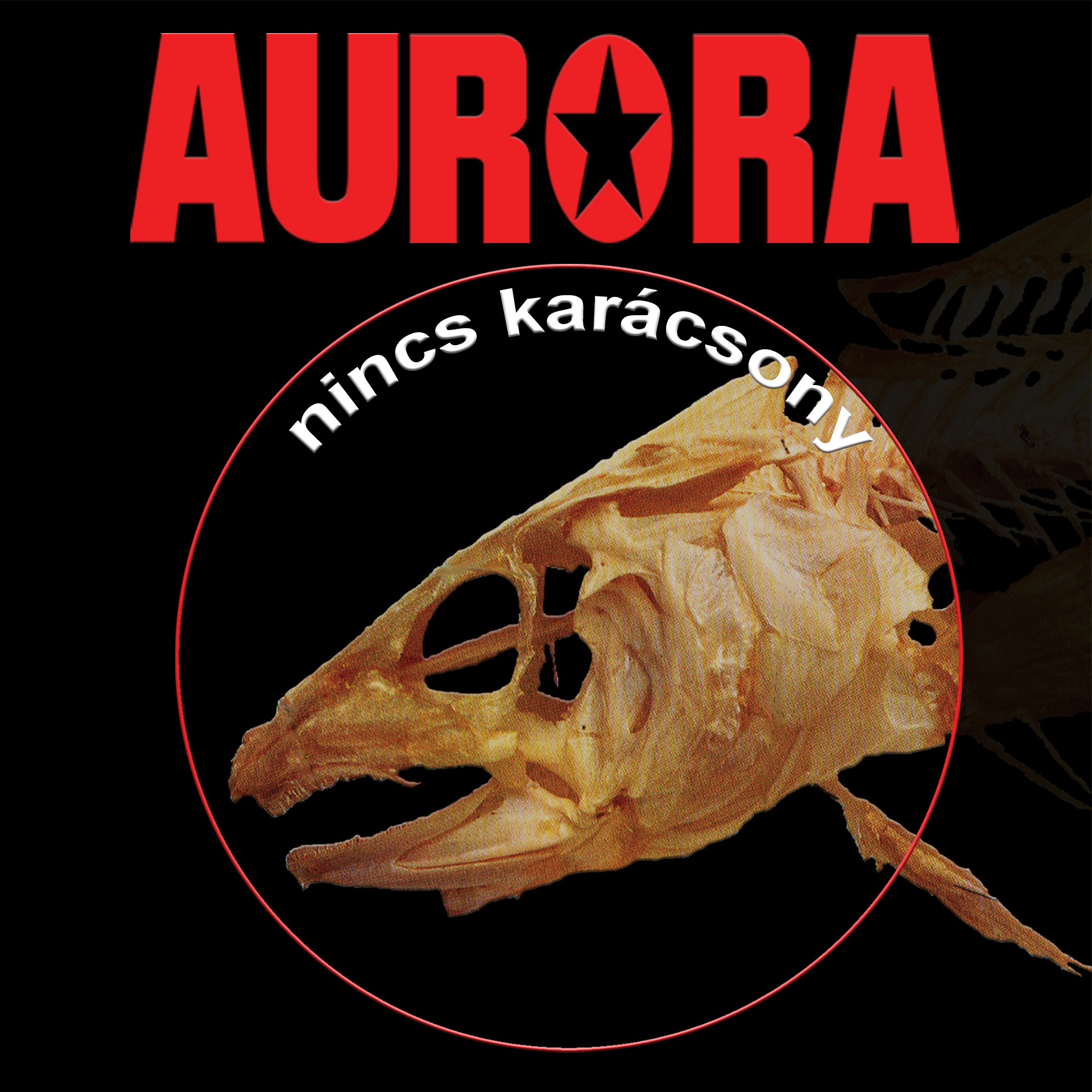 Nincs_karacsony
